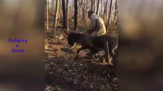 Невероятный и смешной случай на охоте #4