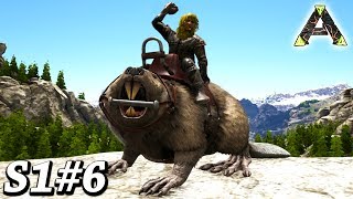 ARK BEAVER TAMING! FIRST UTILITY DINO TAME! Ark Survival Evolved Ragnarok DLC Gameplay Ep6