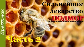 Мазь из пчел.Пчелиный подмор.
