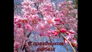 Яблони в цвету