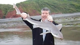 Smooth-Hound Fishing in North Devon