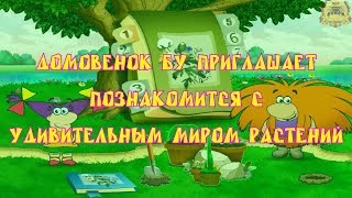 Мир растений.  Начало.