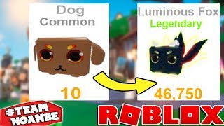 De Noob a Pro en 10 segundos | Roblox Pet Ranch Simulator | Nuevo CODE