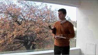 Listening Guide: Tchaikovsky Violin Concerto in D (James Ehnes) Part 2