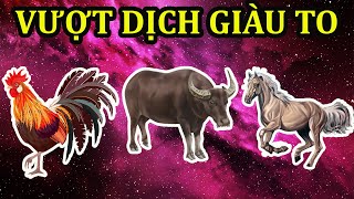 GIỚI TIÊN TRI CHẤN ĐỘNG, 3 CON GIÁP RŨ SẠCH TAI ƯƠNG, TIỀN TỶ CẦM TAY, GIÀU CÓ QUYỀN LỰC NHẤT HỌ