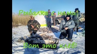 Рыбалка в Казахстане Тургай щука окунь
