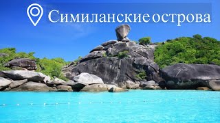 Экскурсия на Симиланские острова на скоростной лодке с Пхукета | Таиланд | Цены | Отзывы
