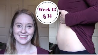 Week 13 &14 Pregnancy Update | Unicornuate Uterus