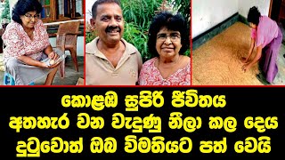 කොළඹ සුපිරි ජීවිතය අතහැර වන වැදුණු "නීලා" කල දෙය දුටුවොත් ඔබ විමතියට පත් වෙයි -  Cultivation| Social
