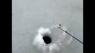 video 2013 12 29 11 25 56 http://www.happy-water.ru/ Ловля щуки на раттлины