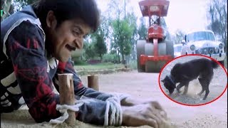 Ali Blockbuster Movie Ultimate Comedy Scene | Super Hit Movie Scenes | Comedy Junction