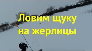 Зимняя рыбалка. Ловля щуки на жерлицы. Хороший клев щуки в феврале