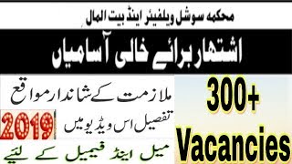 Social welfare and bait ul maal department jobs 2019 | Multiple jobs for males and females