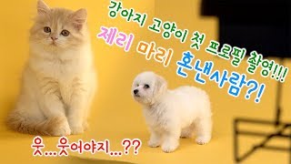 [반려사원] 프로필 사진찍기