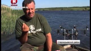В Тамбовской области прошел чемпионат по ловле карпа /НВ - Тамбов/