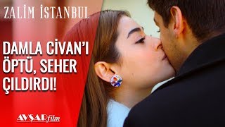 Seher, Damla ve Civan'ı Gördü, Şok Geçirdi? - Zalim İstanbul 27. Bölüm