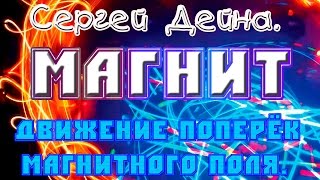 Сергей Дейна. "Движение магнитов поперек магнитного поля"