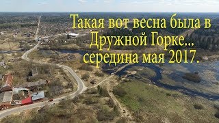 Весна в Дружной Горке, май  2017.