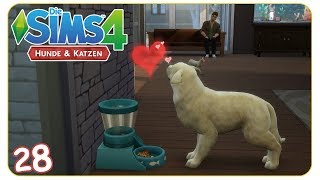 Mia ist rollig #28 Die Sims 4: Hunde & Katzen - Let's Play