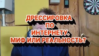 ДРЕССИРОВКА ПО ИНТЕРНЕТУ... МИФ ИЛИ РЕАЛЬНОСТЬ?