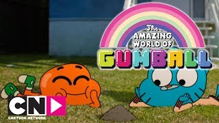 El asombroso mundo de  Gumball | Bola de pelo | Cartoon Network