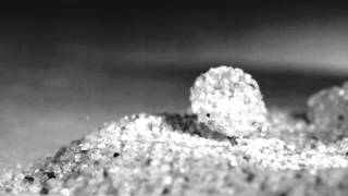 liquid marble formation