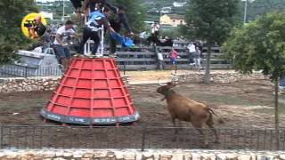 Chella  Vaca Triana de Benavent Peña Taurina El Salto 6-9-2015