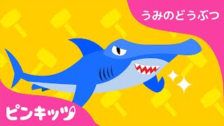 シュモクザメ | うみのどうぶつ | どうぶつのうた | ピンキッツ童謡