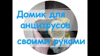 Домик для анциструсов своими руками