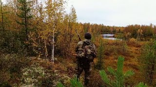 ВОТ ЭТО ДИЧЬ!!! ОДИНОЧНЫЙ ПОХОД В ТАЙГУ. ОХОТА В ТАЙГЕ. ТРОФЕИ СЕВЕРА