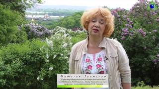 Органо-минеральные смеси "Greenodin" компании "Синта"