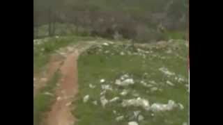 Lov na Zeca - Rabbit Hunting