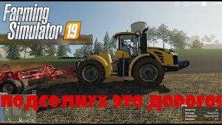 ПОДСОЛНУХ ЭТО ДОРОГО!FARMING SIMULATOR 2019!