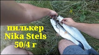 ДВА ЖЕРЕШКА НА Nika Stels 50/4 г