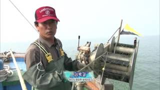 [특집다큐] '섬' 5부 어부의 바다 #3 (여자도, 문어통발, 전어잡이, 꽃개, 새꼬막)
