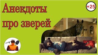 Смешные анекдоты про зверей и животных .короткие анекдоты юмор из леса