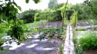 Вот и у нас ПРОШЁЛ ДОЖДИК. Дождь с грозой