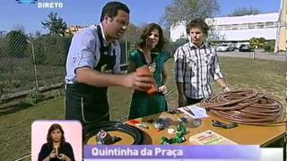 Dica de Agricultura: Sistema de rega económico -- Praça da Alegria