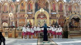 Вокальный ансамбль "Стрекоза" г. Тверь  "В ночном саду"