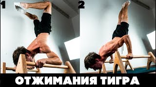 ТЫ КОРОЛЬ ОТЖИМАНИЙ, ЕСЛИ СМОЖЕШЬ ТАК...