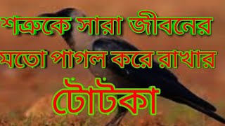 শত্রু দমন টোটকা..... এই টোটকা টি দয়া করে কেউ প্রয়োগ করবেন না....