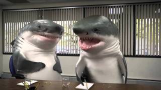 Shark snickers commercial [FUNNY]