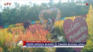 Resmi Dibuka, Taman Bungan Lipali di Pali Diserbu Pengunjung - BIP 17/06
