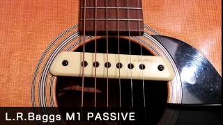 ピックアップ弾き比べ"FISHMAN NEO-D Humbucking Pickup" "L.R.Baggs M1 PASSIVE"