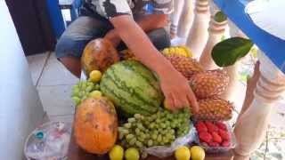 Dimineata in Goa - 100 zile de Naturism in India (Ep. 18)