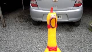 Frango Maldito