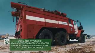 I этап Национального лесного форума. Ижевск 25-26 марта 2018