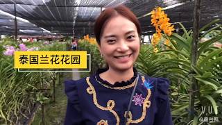 [曼谷水上市场EP111]曼谷本地人去玩的正宗地道的水上市场 Ladmayom Floating Market