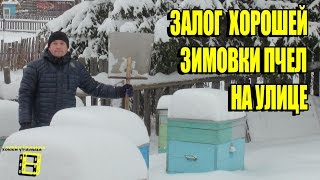 ЗАЛОГ  ХОРОШЕЙ ЗИМОВКИ ПЧЕЛ НА УЛИЦЕ. ЗИМНИЕ РАБОТЫ НА ПАСЕКЕ ЧАСТЬ 1. ЛЮБИТЕЛЬСКОЕ ПЧЕЛОВОДСТВО С 0