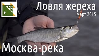 Ловля жереха на Москве реке ранней весной.